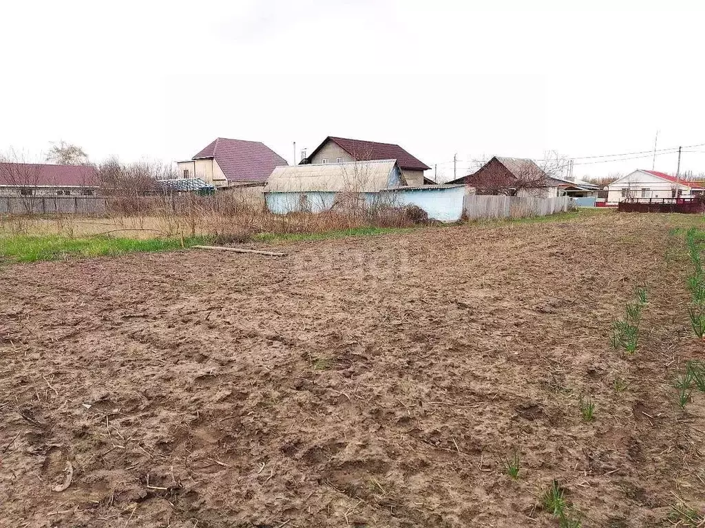 Участок в Белгородская область, Поселок Чернянка городское поселение, ... - Фото 0