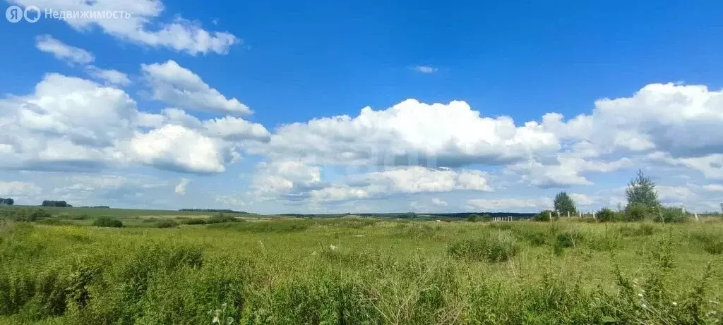 Участок в Искитимский район, Шибковский сельсовет, деревня Таскаево ... - Фото 1