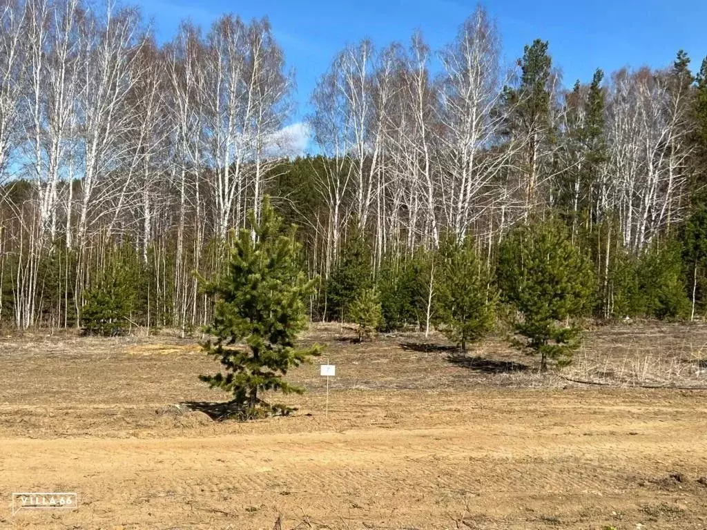 Участок в Свердловская область, Белоярский городской округ, пос. ... - Фото 0