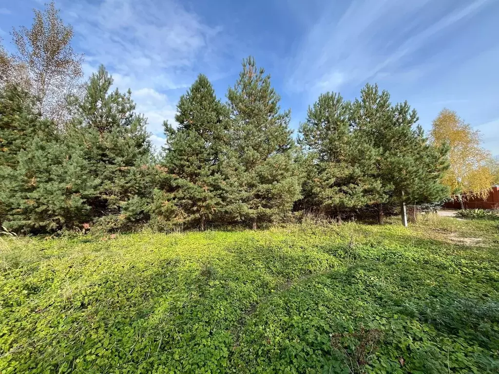 Участок в Московская область, Одинцовский городской округ, д. Сколково ... - Фото 1