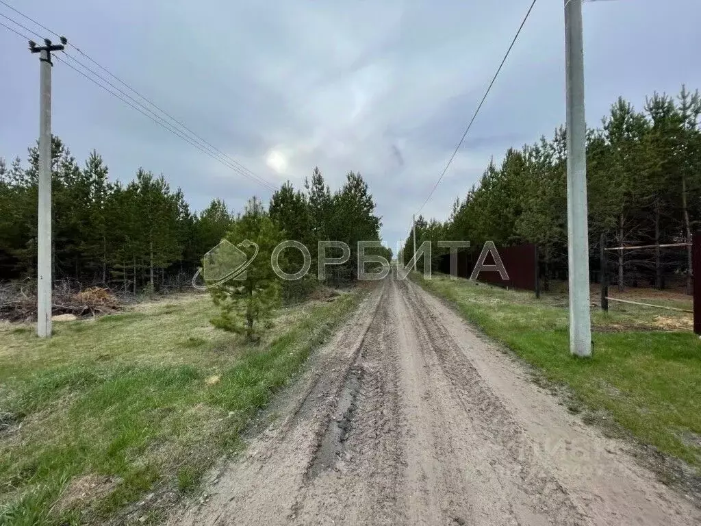 Участок в Тюменская область, Тюменский муниципальный округ, д. Ушакова ... - Фото 1