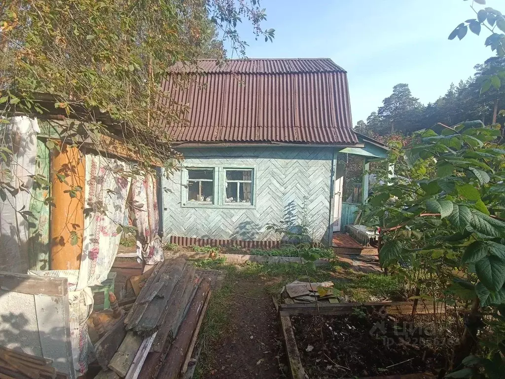 Дом в Пермский край, Пермь Любитель СТ, 41 (20 м) - Фото 2