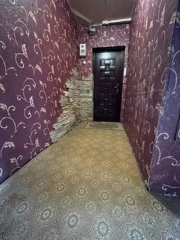 2-к кв. Еврейская автономная область, Биробиджан Сопка мкр, ул. ... - Фото 2