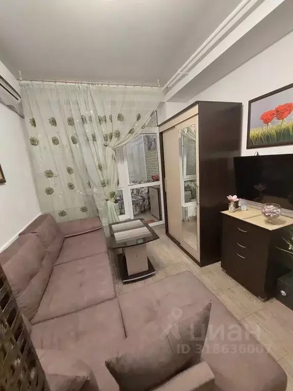 Студия Краснодарский край, Сочи городской округ, Дагомыс пгт ул. ... - Фото 1