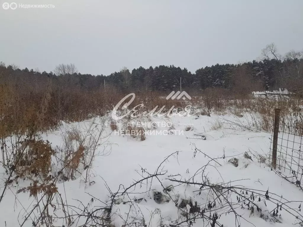 Участок в Заводоуковск, Советский переулок, 2 (10 м) - Фото 2