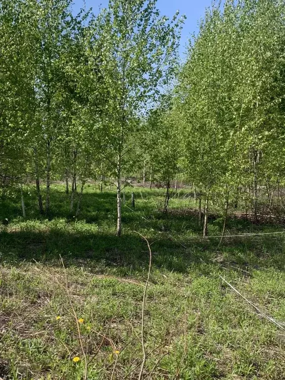 Участок в Калужская область, Калуга городской округ, с. Некрасово  ... - Фото 0