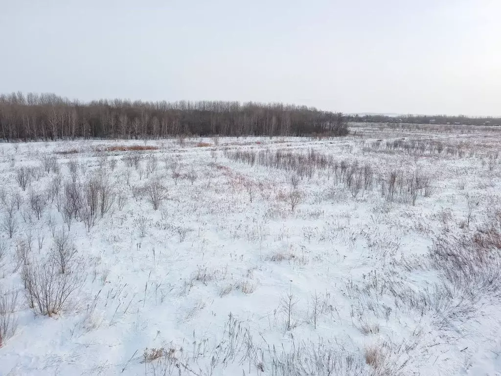 Участок в Хабаровский край, Хабаровский район, с. Рощино  (8.0 сот.) - Фото 0