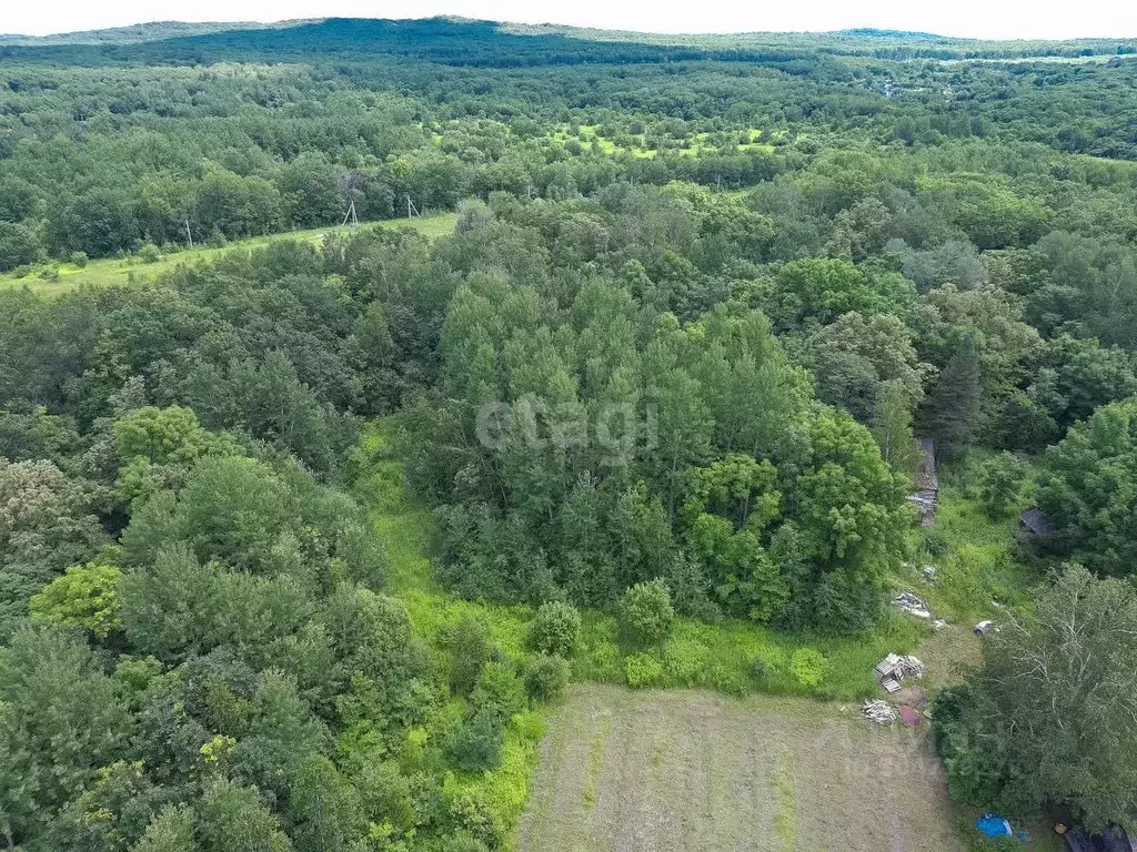 Участок в Хабаровский край, Хабаровск Яблоневая ул. (10.1 сот.) - Фото 1