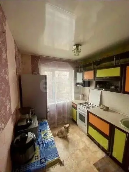 2-к кв. Коми, Сыктывкар Печорская ул., 16А (44.0 м) - Фото 2