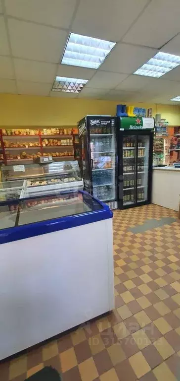 Дом в Псковская область, Печоры Заводская ул., 8 (137 м) - Фото 1