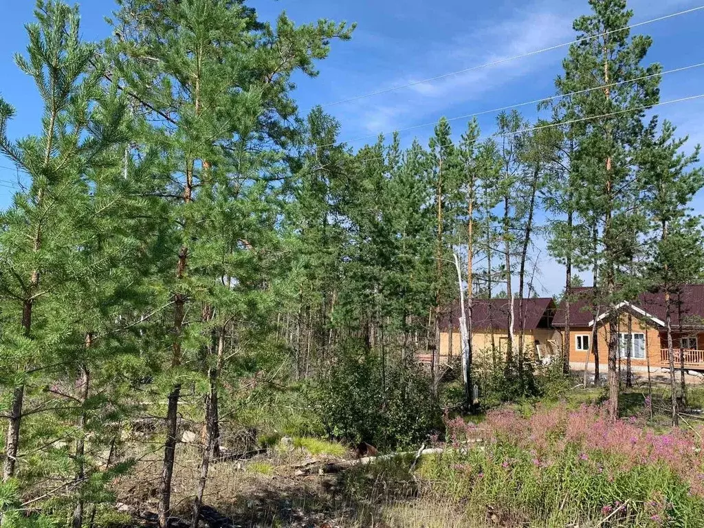 Участок в Саха (Якутия), Мегино-Кангаласский улус, Нижний Бестях пгт ... - Фото 1