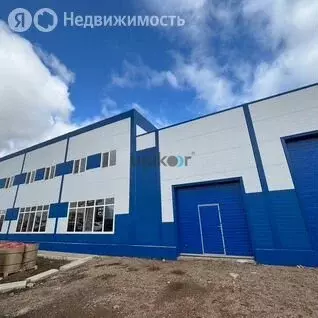 Помещение свободного назначения (1256 м) - Фото 2