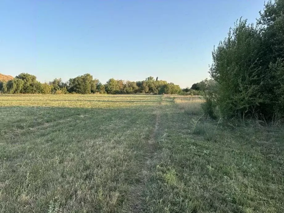 Участок в Крым, Белогорский район, Зуйское с/пос, с. Литвиненково ул. ... - Фото 2