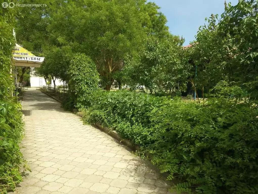 Участок в Береговое, Приморская улица (1 м) - Фото 2