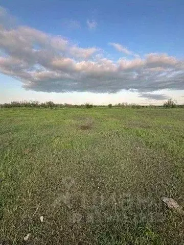 Участок в Саха (Якутия), Якутск городской округ, с. Тулагино  (11.0 ... - Фото 0