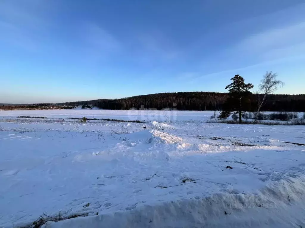 Участок в Красноярский край, Манский район, Шалинский сельсовет, д. ... - Фото 0