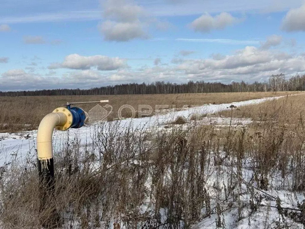 Участок в Тюменская область, Нижнетавдинский район, д. Новоуфимка  ... - Фото 1