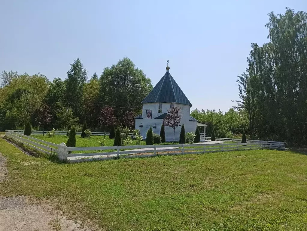 Дом в Рязанская область, Путятинский муниципальный округ, с. Романовы ... - Фото 0