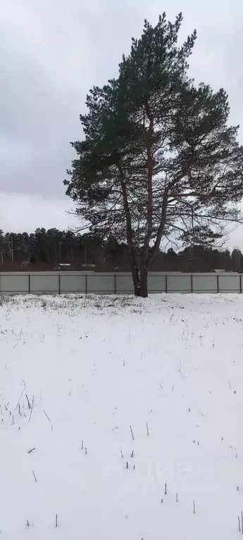 Участок в Московская область, Одинцовский городской округ, Серебряные ... - Фото 2