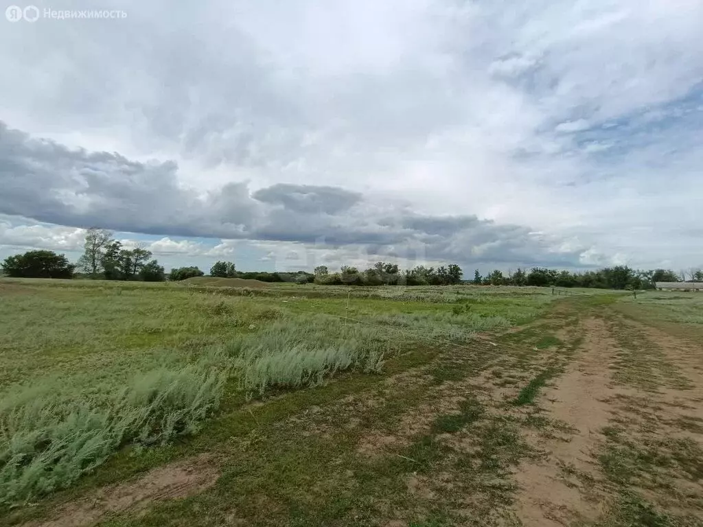 Участок в Самородово, Школьная улица (544.13 м) - Фото 1
