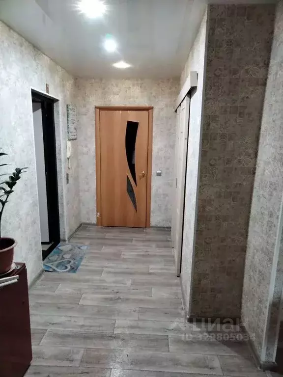 1-к кв. Нижегородская область, Нижний Новгород ул. Голубева, 8 (33.0 ... - Фото 2