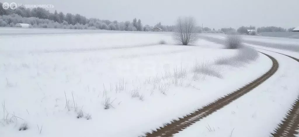 Участок в Тульская область, городской округ Тула, село Фёдоровка (18 ... - Фото 2