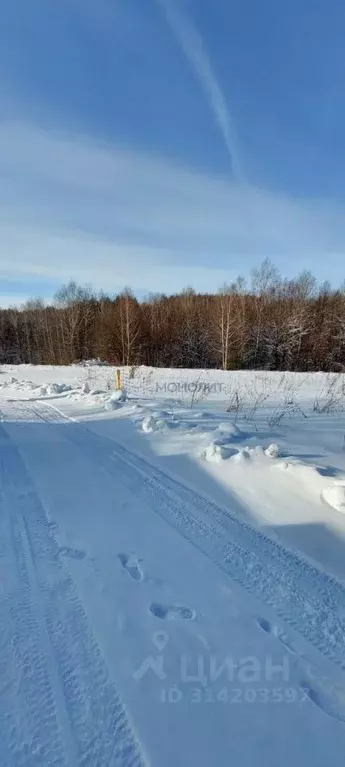 Участок в Нижегородская область, Арзамас городской округ, д. ... - Фото 1