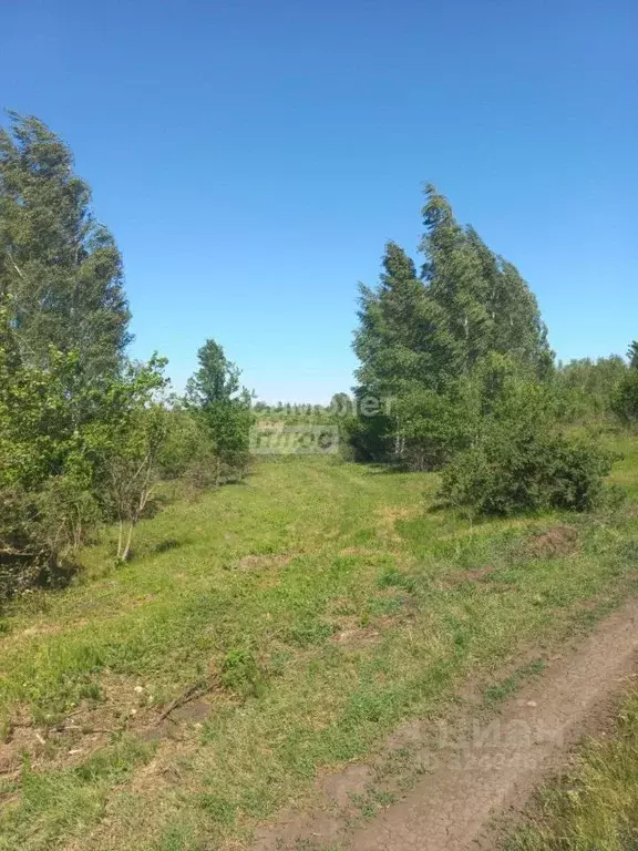 Участок в Липецкая область, Добровский муниципальный округ, с. ... - Фото 2