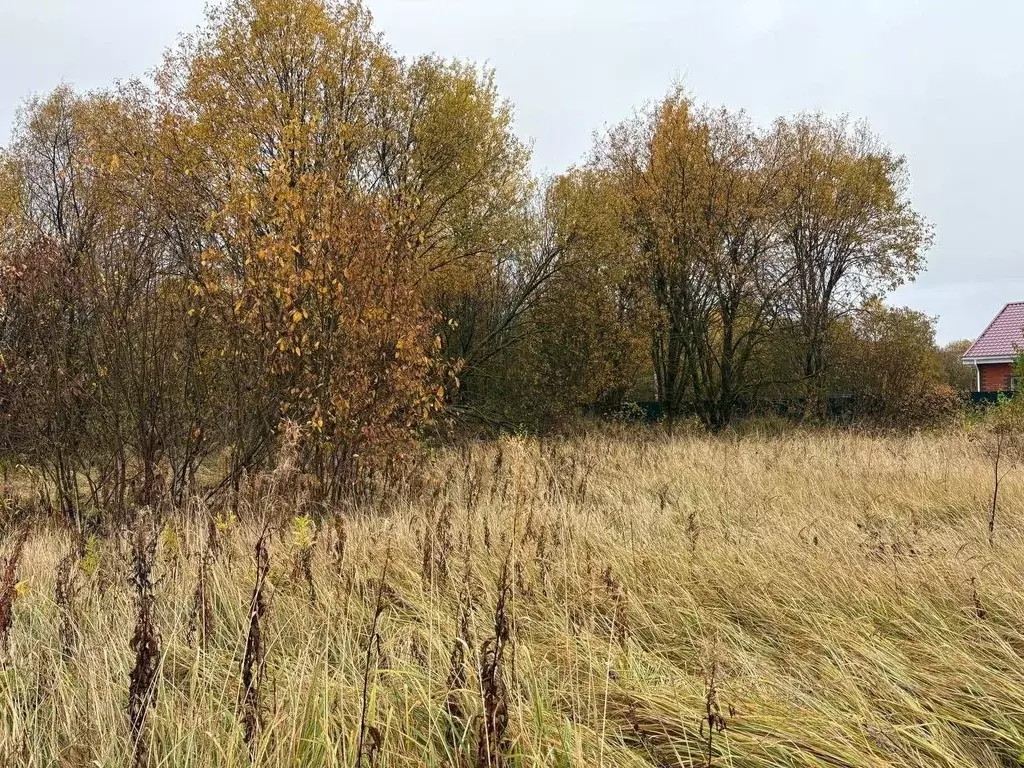 Участок в Московская область, Воскресенск городской округ, д. ... - Фото 1