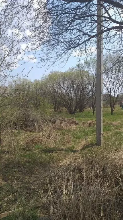 Участок в Еврейская автономная область, Смидовичский район, с. ... - Фото 1