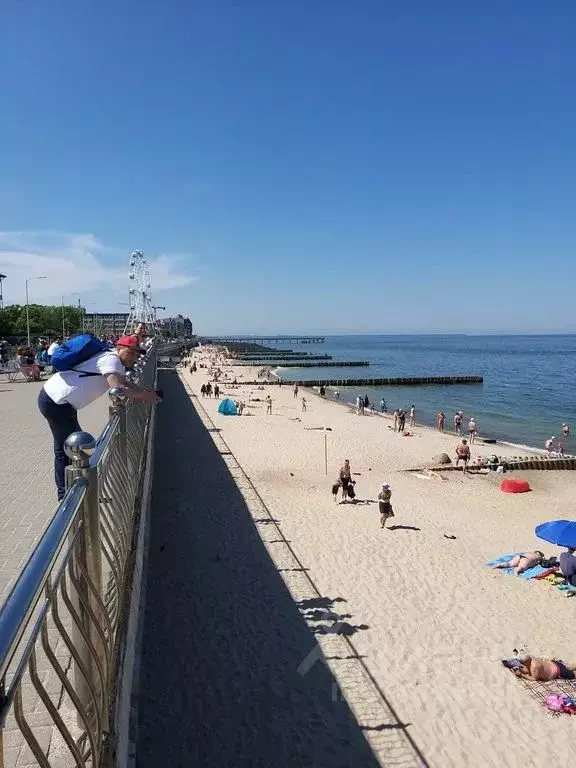 1-к кв. Калининградская область, Зеленоградск ул. Валентина Мосина, 2 ... - Фото 2