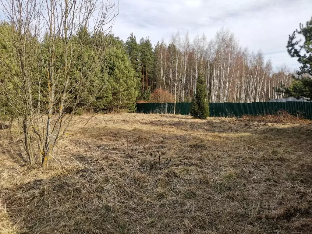 Участок в Московская область, Орехово-Зуевский городской округ, д. ... - Фото 0