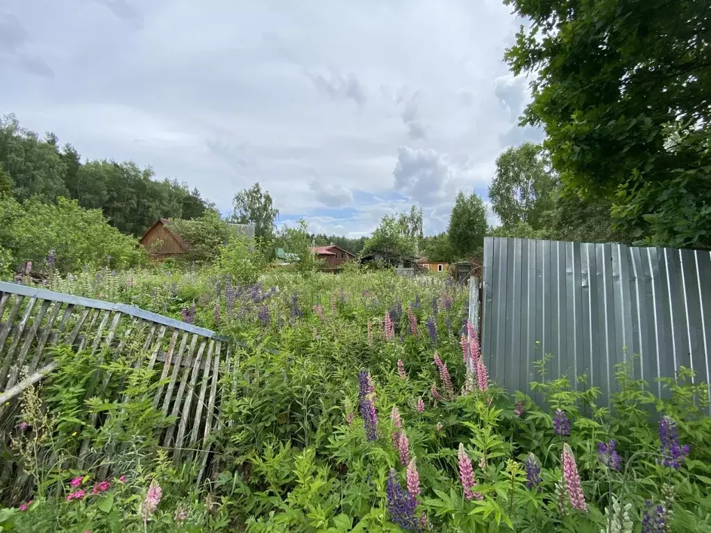 Участок в Московская область, Раменский муниципальный округ, Тишина ... - Фото 2