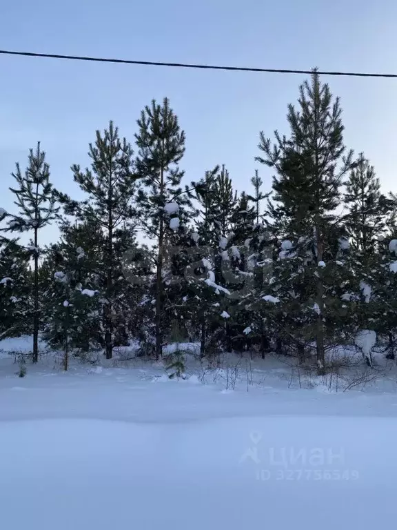 Участок в Свердловская область, Тугулым пгт ул. Победы (17.31 сот.) - Фото 2