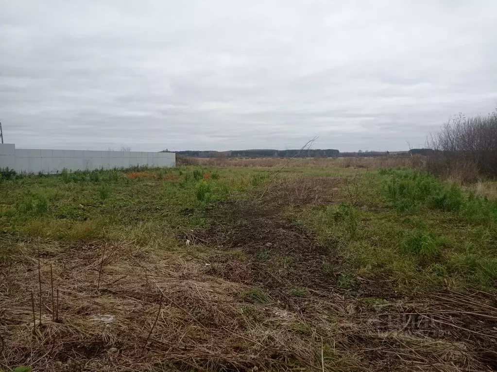 Участок в Владимирская область, Суздальский район, Боголюбовское ... - Фото 1
