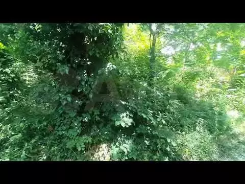 Участок 4,7 сот. (СНТ, ДНП) - Фото 1