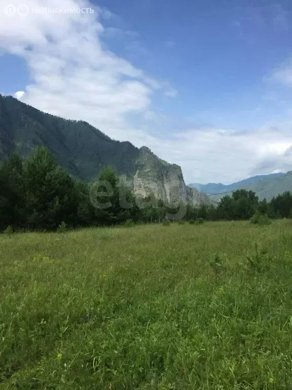 Участок в Чемал, Сосновая улица (23.9 м) - Фото 2