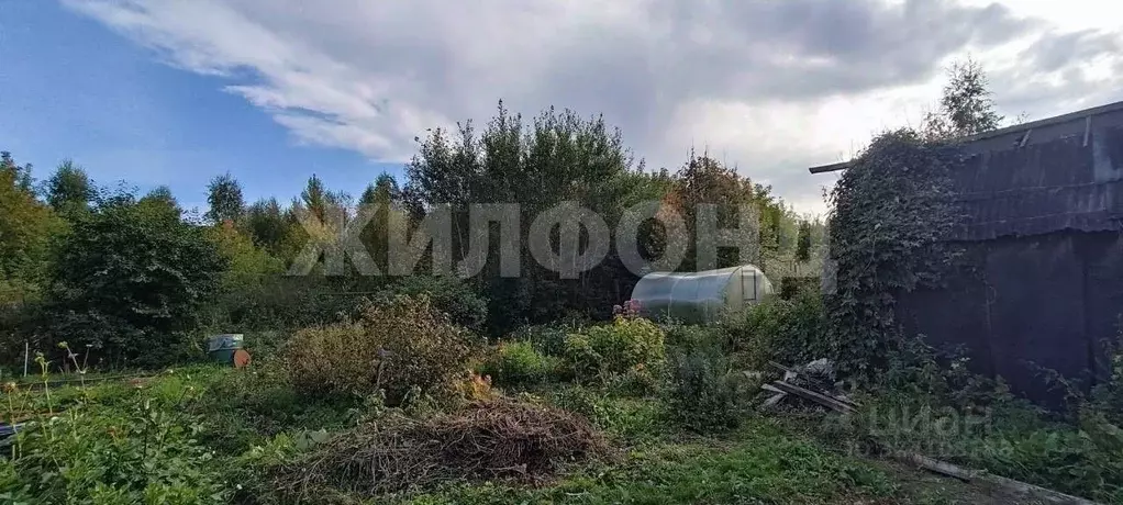 Участок в Новосибирская область, Новосибирск  (8.1 сот.) - Фото 1