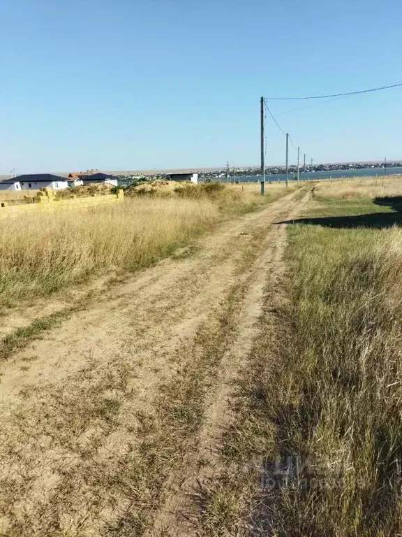 Участок в Крым, Черноморский район, Оленевское с/пос, с. Оленевка  ... - Фото 2