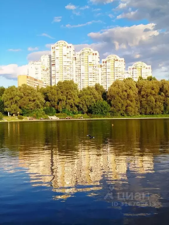 5-к кв. Москва ул. Улофа Пальме, 1 (170.0 м) - Фото 0