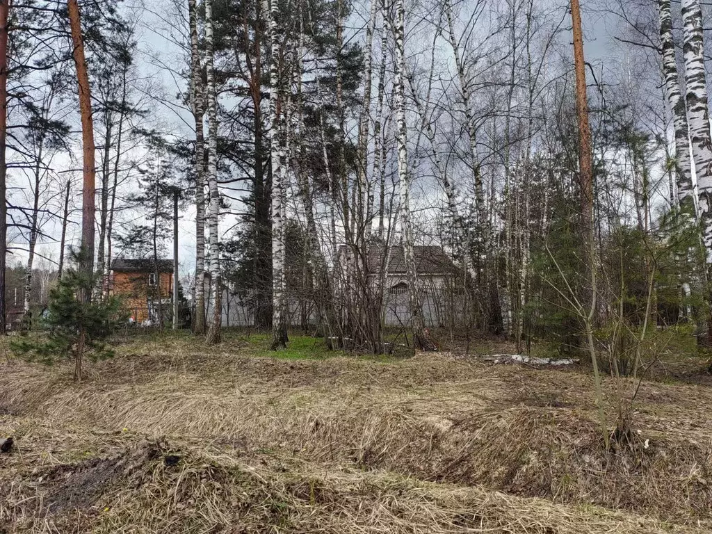 Участок в Московская область, Балашиха городской округ, д. Полтево  ... - Фото 0