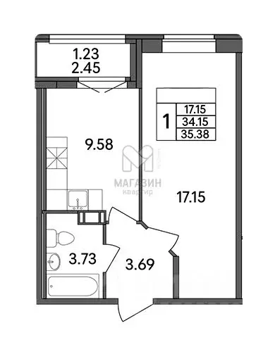 1-к кв. Ленинградская область, Всеволожский район, д. Новое Девяткино ... - Фото 2