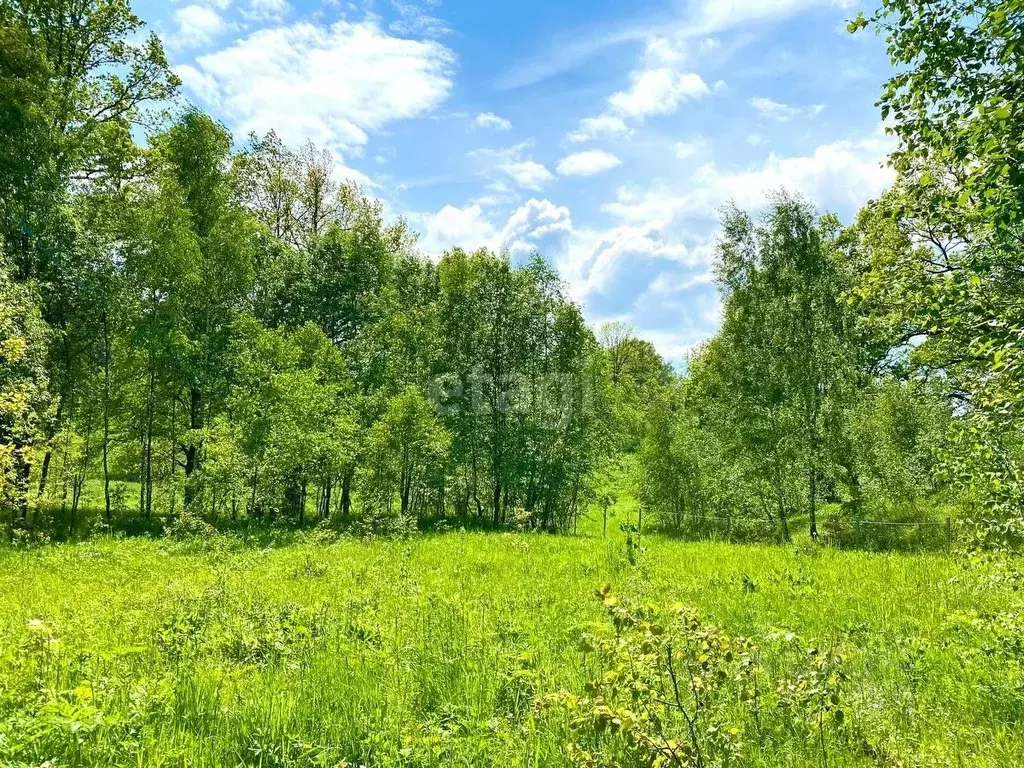 Купить Участок В Туле В Пролетарском