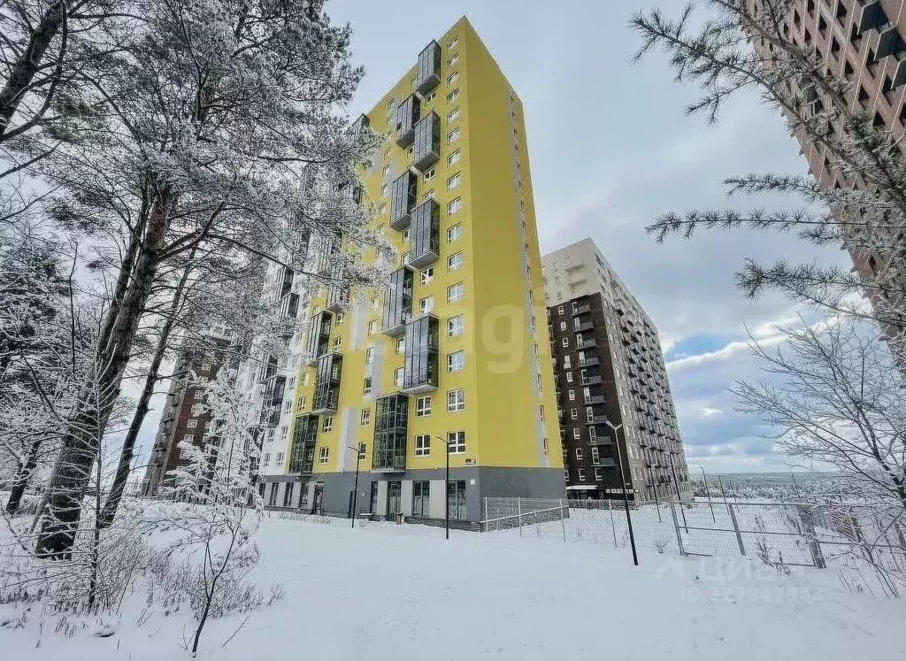 Офис в Удмуртия, Ижевск Камбарская ул., 94к2 (54 м) - Фото 2