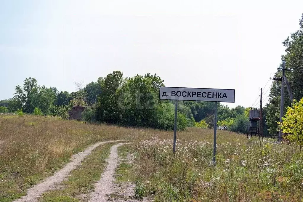 Участок в Саратовская область, Энгельсский район, Безымянское ... - Фото 2