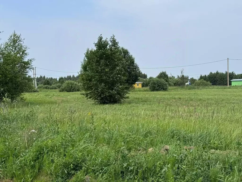 Участок, 10 сот., поселения (ижс) - Фото 1