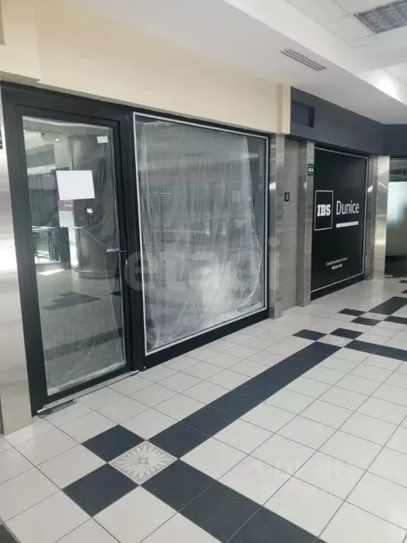 Помещение свободного назначения в Ставропольский край, Ставрополь ул. ... - Фото 1