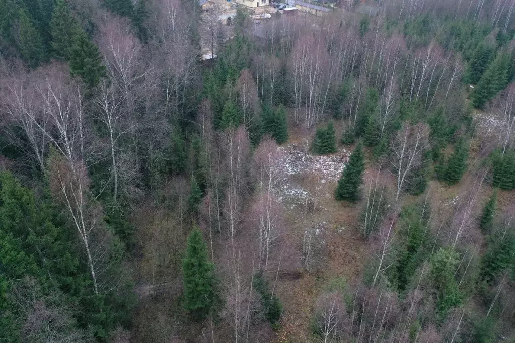 Участок в Московская область, Наро-Фоминский городской округ, д. ... - Фото 0