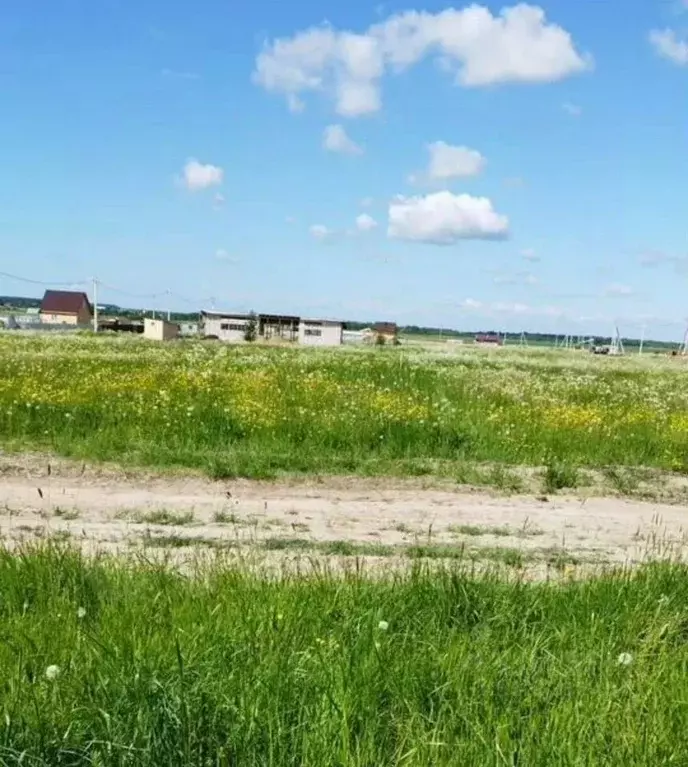 Участок в Ленинградская область, Ломоносовский район, Ропшинское ... - Фото 2