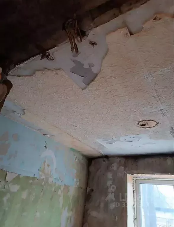 Склад в Рязанская область, Рязань ул. Островского, 46 (12 м) - Фото 2